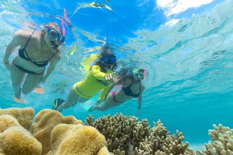 Ocean Safari Great Barrier Reef Experience In Cape Tribulation - Accommodation Cairns 4