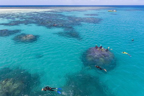 Ocean Safari Great Barrier Reef Experience In Cape Tribulation - Accommodation Cairns 12