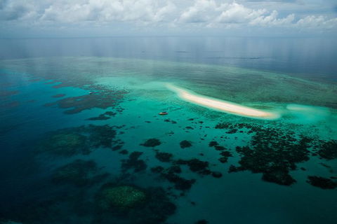 Ocean Safari Great Barrier Reef Experience In Cape Tribulation - Accommodation Cairns 16