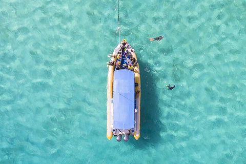 Ocean Safari Great Barrier Reef Experience In Cape Tribulation - Accommodation Cairns 17