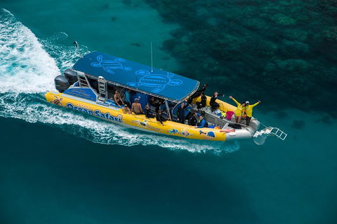 Ocean Safari Great Barrier Reef Experience In Cape Tribulation - Accommodation Cairns 9