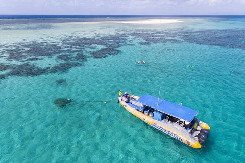 Ocean Safari Great Barrier Reef Experience In Cape Tribulation - Accommodation Cairns 11