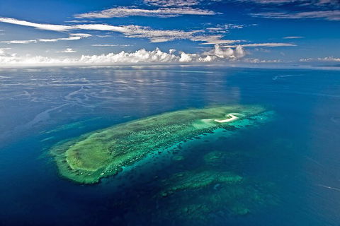 Ocean Safari Great Barrier Reef Experience In Cape Tribulation - Accommodation Cairns 15