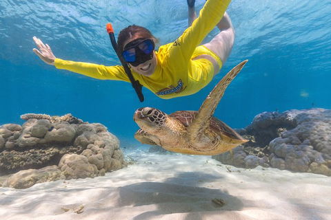 Ocean Safari Great Barrier Reef Experience In Cape Tribulation - Accommodation Cairns 2