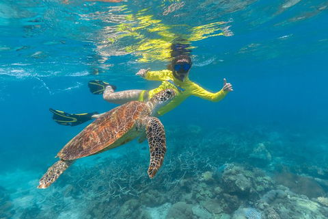 Ocean Safari Great Barrier Reef Experience In Cape Tribulation - Accommodation Cairns 14