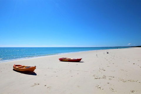 Fraser Island West Coast BBQ Lunch Cruise From Hervey Bay Including Kayaking And Swimming - Accommodation Cairns 8