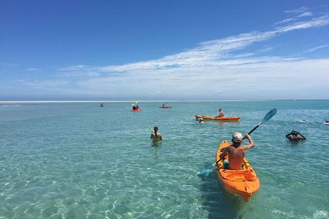 Fraser Island West Coast BBQ Lunch Cruise From Hervey Bay Including Kayaking And Swimming - Accommodation Cairns 9