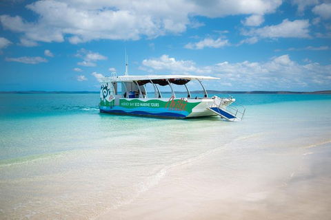 Great Sandy Marine Park Turtle Discovery And Cultural Eco Tour - Accommodation Cairns 0