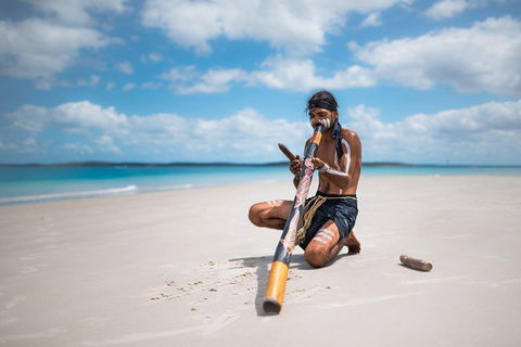 Great Sandy Marine Park Turtle Discovery And Cultural Eco Tour - Accommodation Cairns 1