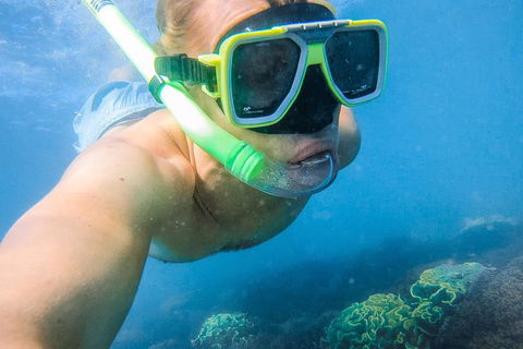 Great Sandy Marine Park Turtle Discovery And Cultural Eco Tour - Accommodation Cairns 2