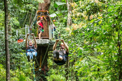 Cape Tribulation Jungle Surfing Canopy Tour - Accommodation Cairns 1