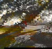 Brisbane Bike Tour - Accommodation Cairns