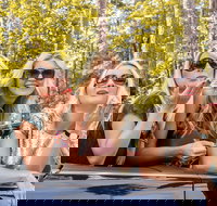 Luxury Brisbane Airport Transfers To and From Surfers Paradise for up to 11 Per - Accommodation Cairns