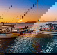 Stray Australia Brisbane to Cairns Freestyle Tour - Accommodation Cairns