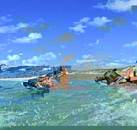 Horse Swimming Ride from Rainbow Beach - Accommodation Cairns