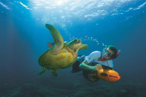 Moreton Island Day Trip From Brisbane - Accommodation Cairns 1