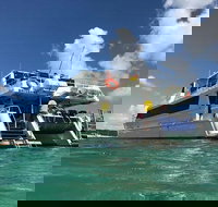 Eco Marine Safari - Boom netting  Snorkeling Moreton Island - Fortitude Valley - Accommodation Cairns