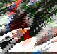 Small-Group 4WD Lamington National Park Day Trip from Brisbane - Accommodation Cairns