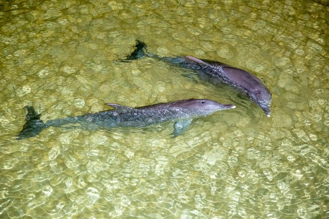 Brisbane QLD Accommodation Cairns