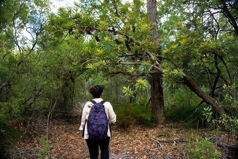 Pack-free Camping: Lake McKenzie Central Hike - 2 Days - Accommodation Cairns 1