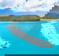 Whitsundays Jet Ski Tour - Accommodation Cairns