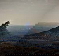 Maleny Booked Hire Services Sunshine Coast and hinterland buses and private cars - Accommodation Cairns