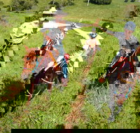 Country Day Ride from Mt Goomboorian with Rainbow Beach Horse Rides - Accommodation Cairns