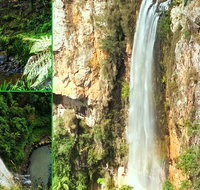 Rainforest  Waterfalls Extravaganza - Accommodation Cairns