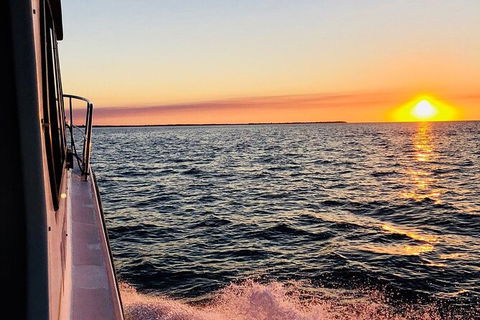 Hervey Bay Whale Swim And Watch - Accommodation Cairns 7