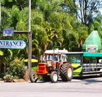 Tropical Fruit World with Wildlife Boat Cruise from Gold Coast - Accommodation Cairns
