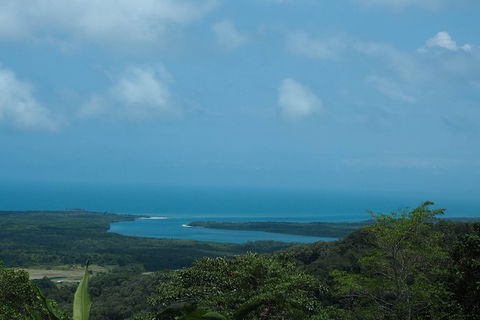Cape Tribulation, Daintree Rainforest And Wildlife Tour - Accommodation Cairns 7