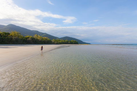 Cape Tribulation, Daintree Rainforest And Wildlife Tour - Accommodation Cairns 6