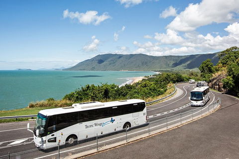 Cape Tribulation, Daintree Rainforest And Wildlife Tour - Accommodation Cairns 3