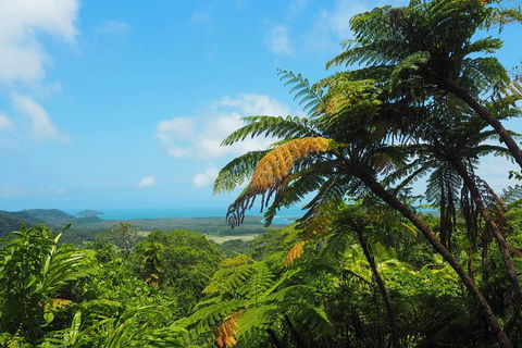 Cape Tribulation, Daintree Rainforest And Wildlife Tour - Accommodation Cairns 5