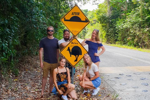Cape Tribulation, Daintree Rainforest And Wildlife Tour - Accommodation Cairns 10