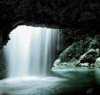 Natural Bridge Glow Worm Night Tour from Gold Coast - Accommodation Cairns