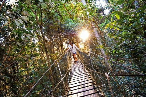O'Reilly's Lamington National Park And Treetop Canopy Tour - Accommodation Cairns 0