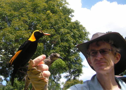 O'Reilly's Lamington National Park And Treetop Canopy Tour - Accommodation Cairns 4
