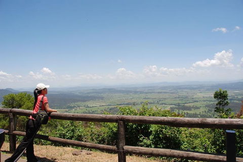 O'Reilly's Lamington National Park And Treetop Canopy Tour - Accommodation Cairns 6