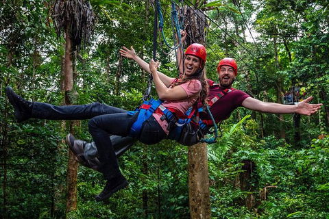Daintree Atttractions Pass: The Best Of The Daintree In A Day - Accommodation Cairns 1
