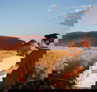 Uluru Ayers Rock Sunset with Outback Barbecue Dinner and Star Tour - Accommodation Cairns