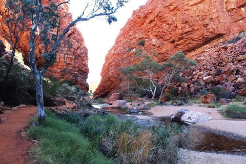 Half Day MacDonnell Ranges Small Group - Private Guided Tour - Accommodation Cairns 0