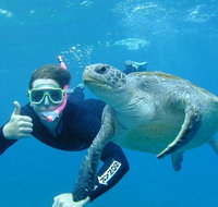 3-Hour Sea Turtle Snorkeling Experience in Byron Bay - Accommodation Cairns