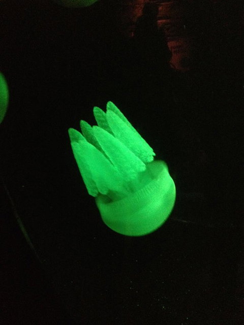 SEA LIFE Sydney Aquarium Entrance Ticket - Accommodation Cairns 2