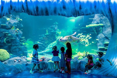 SEA LIFE Sydney Aquarium Entrance Ticket - Accommodation Cairns 0