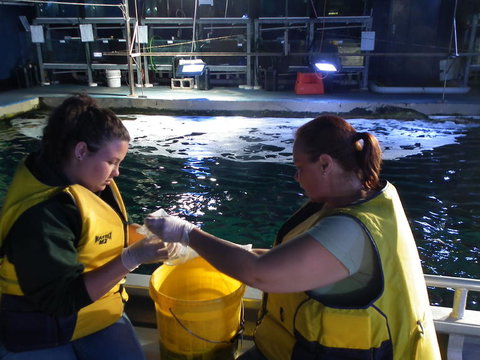 SEA LIFE Sydney Aquarium Entrance Ticket - Accommodation Cairns 14