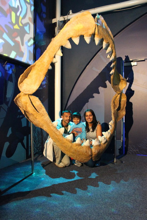 SEA LIFE Sydney Aquarium Entrance Ticket - Accommodation Cairns 6