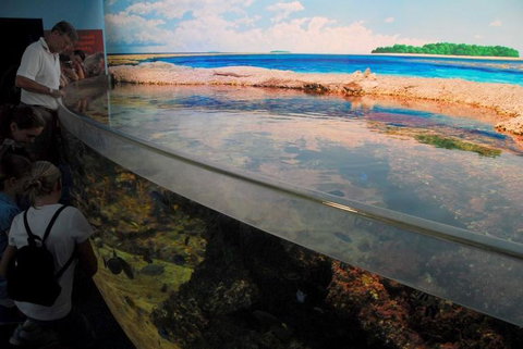 SEA LIFE Sydney Aquarium Entrance Ticket - Accommodation Cairns 24