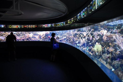 SEA LIFE Sydney Aquarium Entrance Ticket - Accommodation Cairns 23