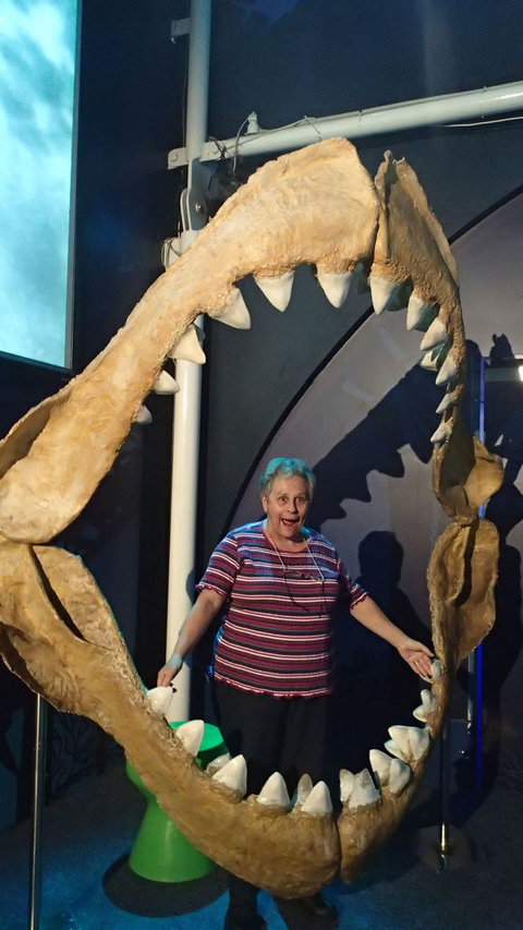 SEA LIFE Sydney Aquarium Entrance Ticket - Accommodation Cairns 3